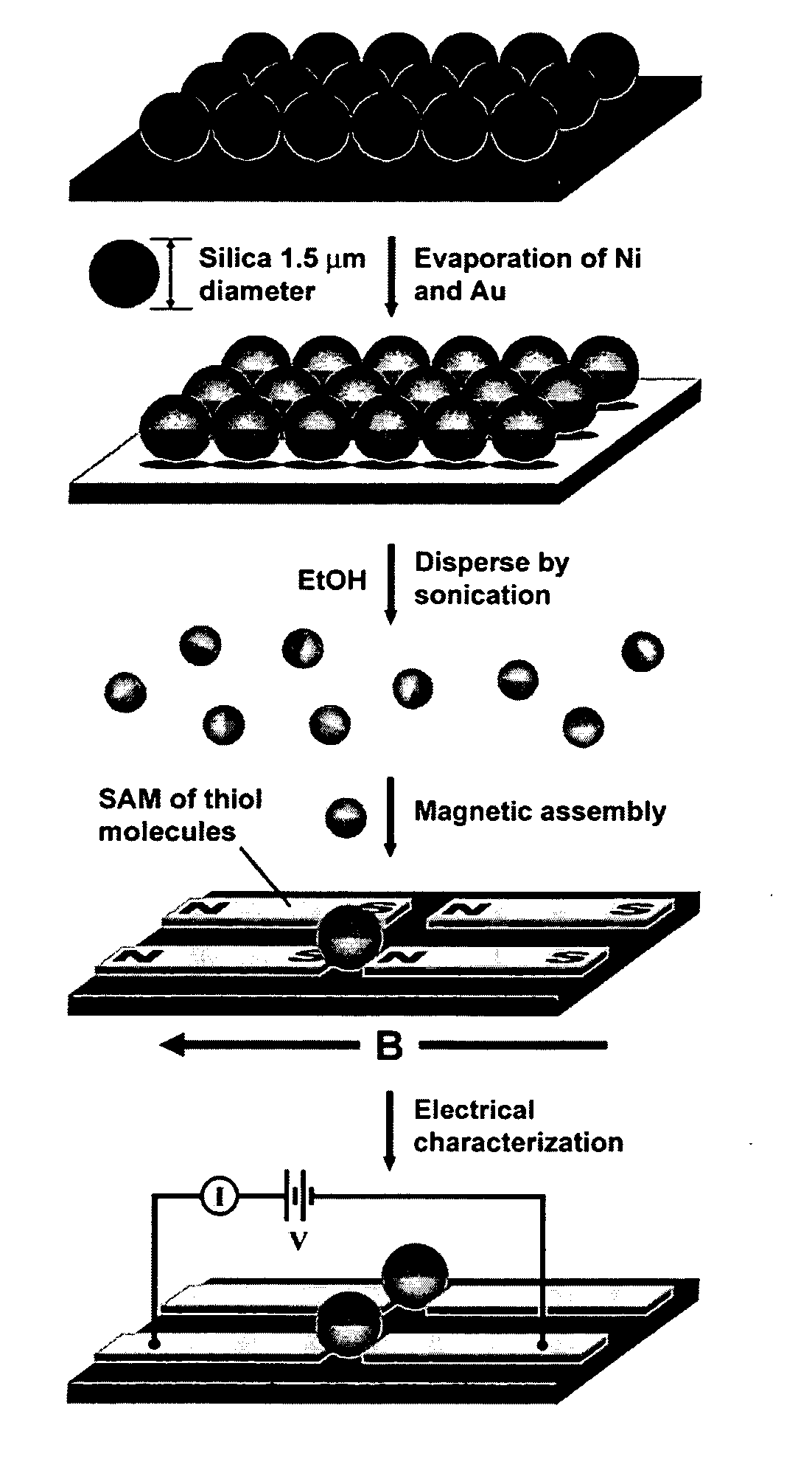 Magnetically directed self-assembly of molecular electronic junctions