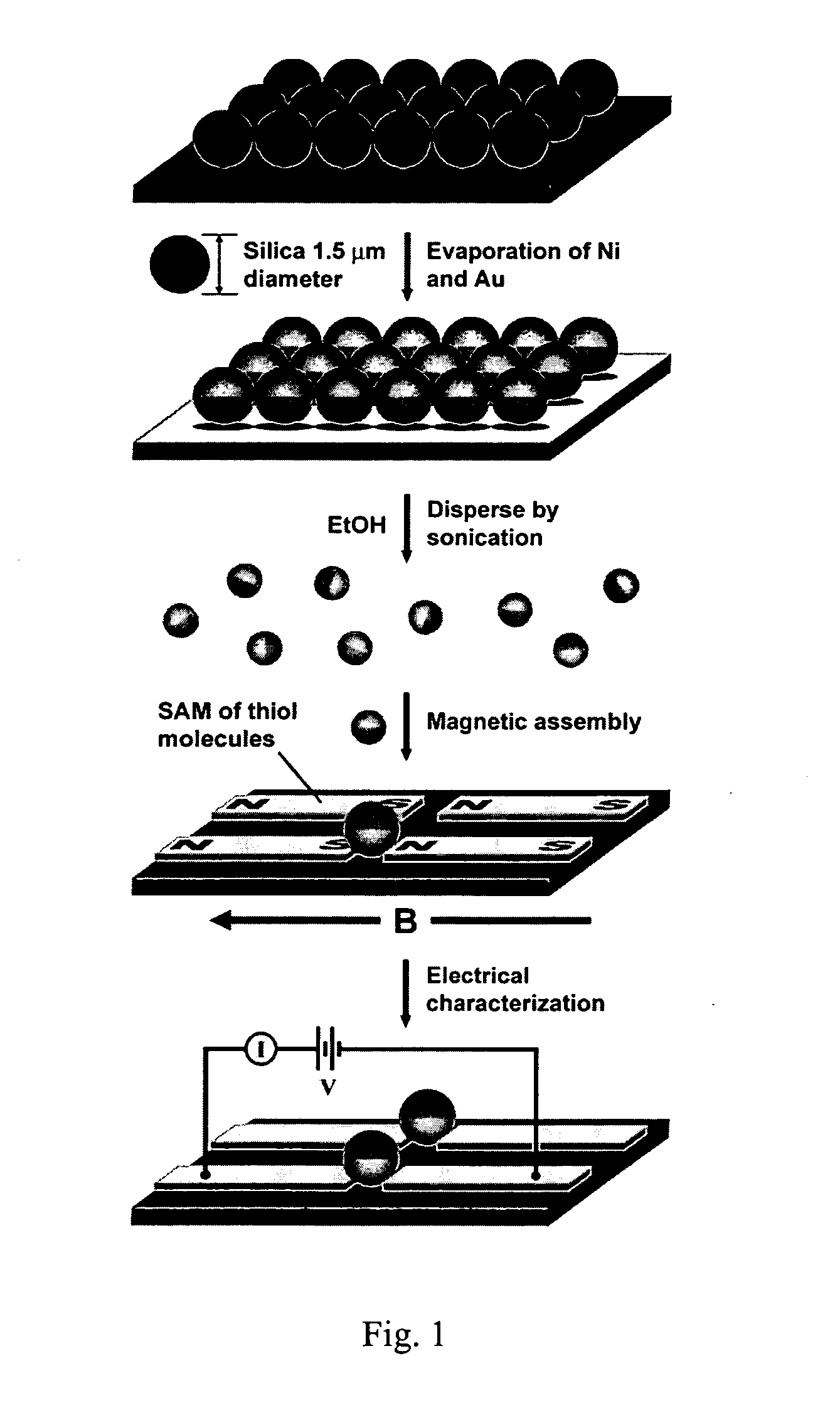 Magnetically directed self-assembly of molecular electronic junctions