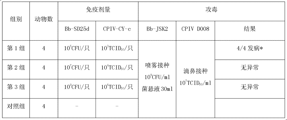 Canine infectious tracheobronchitis bivalent live vaccine and preparation method thereof