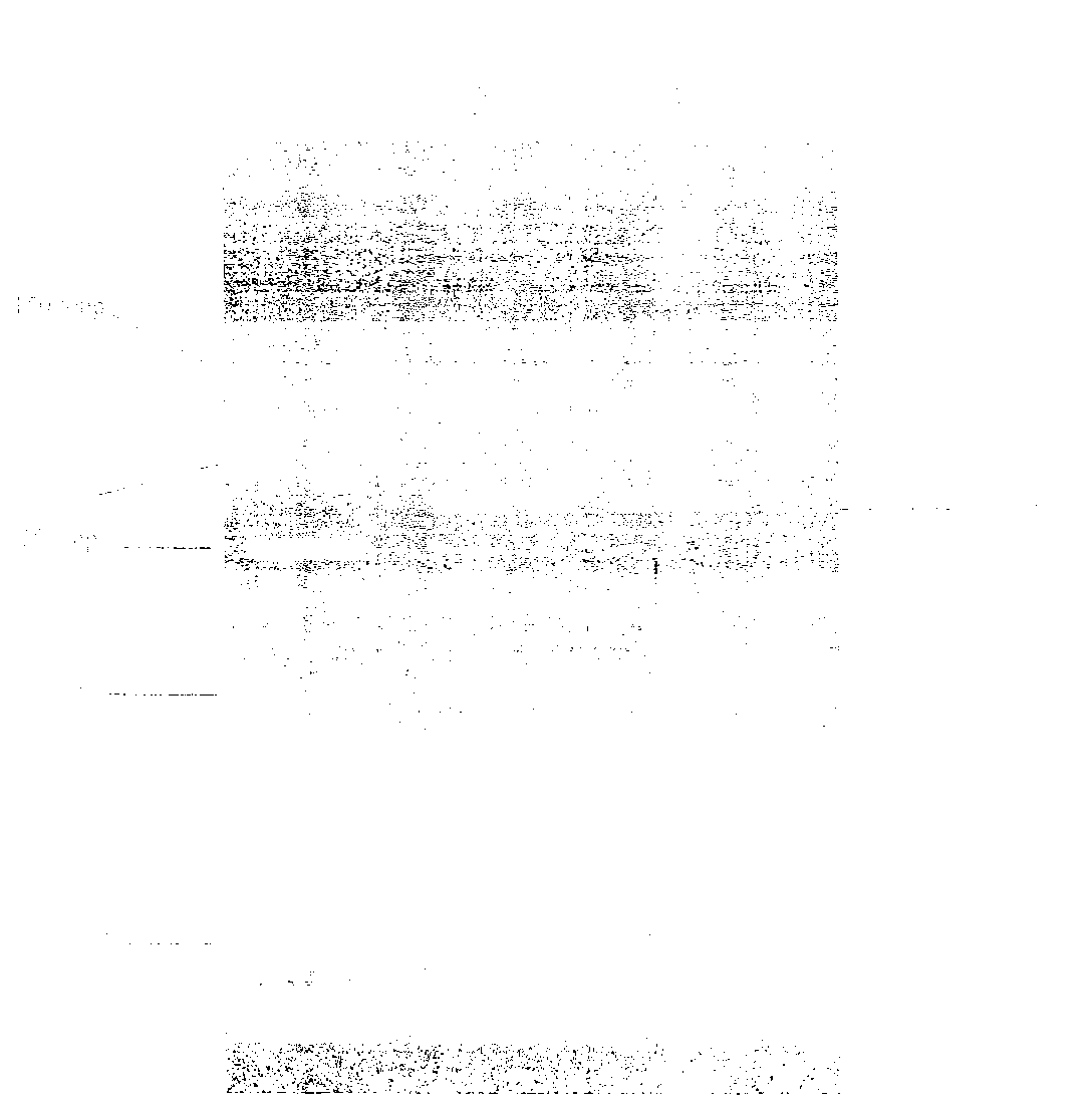 Plasmid type adenovirus vector pAd-NRIP1 and construction method thereof