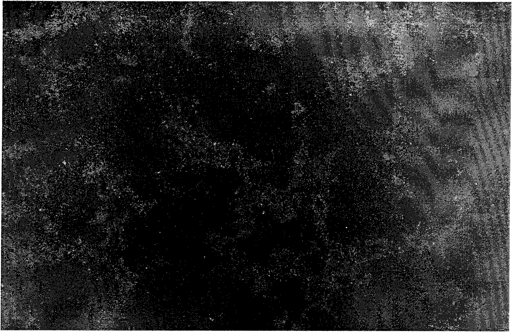 Self-cleaning antibacterial ceramic glaze and preparation method and ceramic product thereof