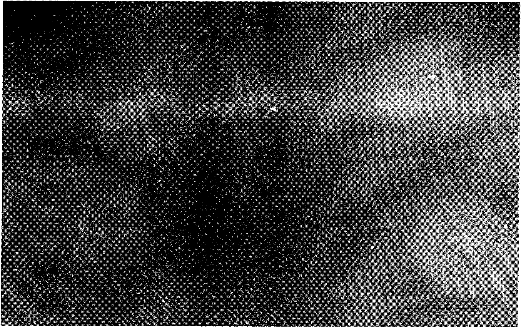 Self-cleaning antibacterial ceramic glaze and preparation method and ceramic product thereof