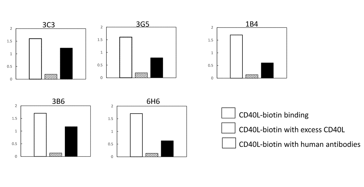 Agonistic antibodies that bind human cd40 and uses thereof