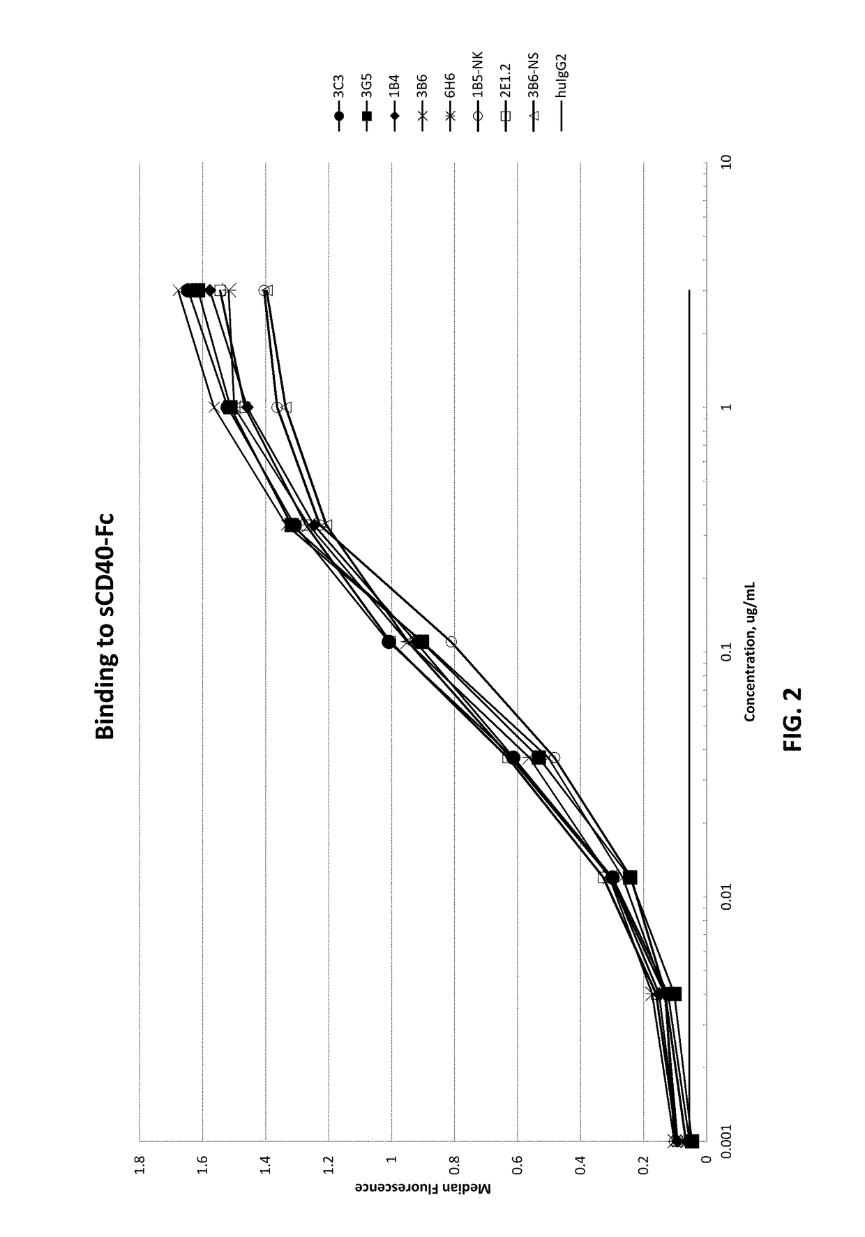 Agonistic antibodies that bind human cd40 and uses thereof