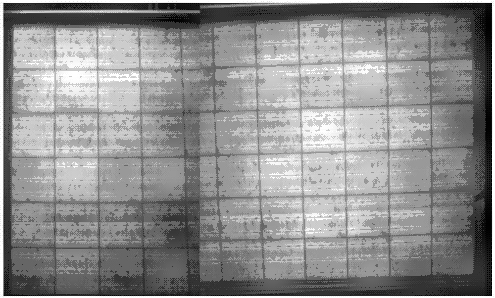 Earthworm grain resistant EVA adhesive film material for photovoltaic module