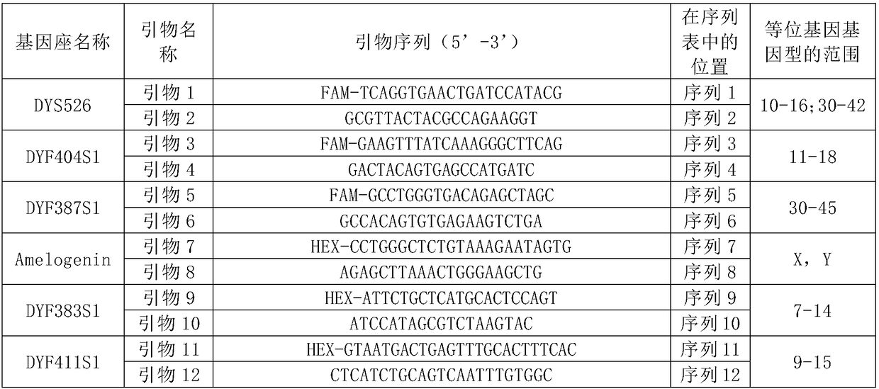 Composite amplification system based on Y-STR locus and specific primer combination thereof