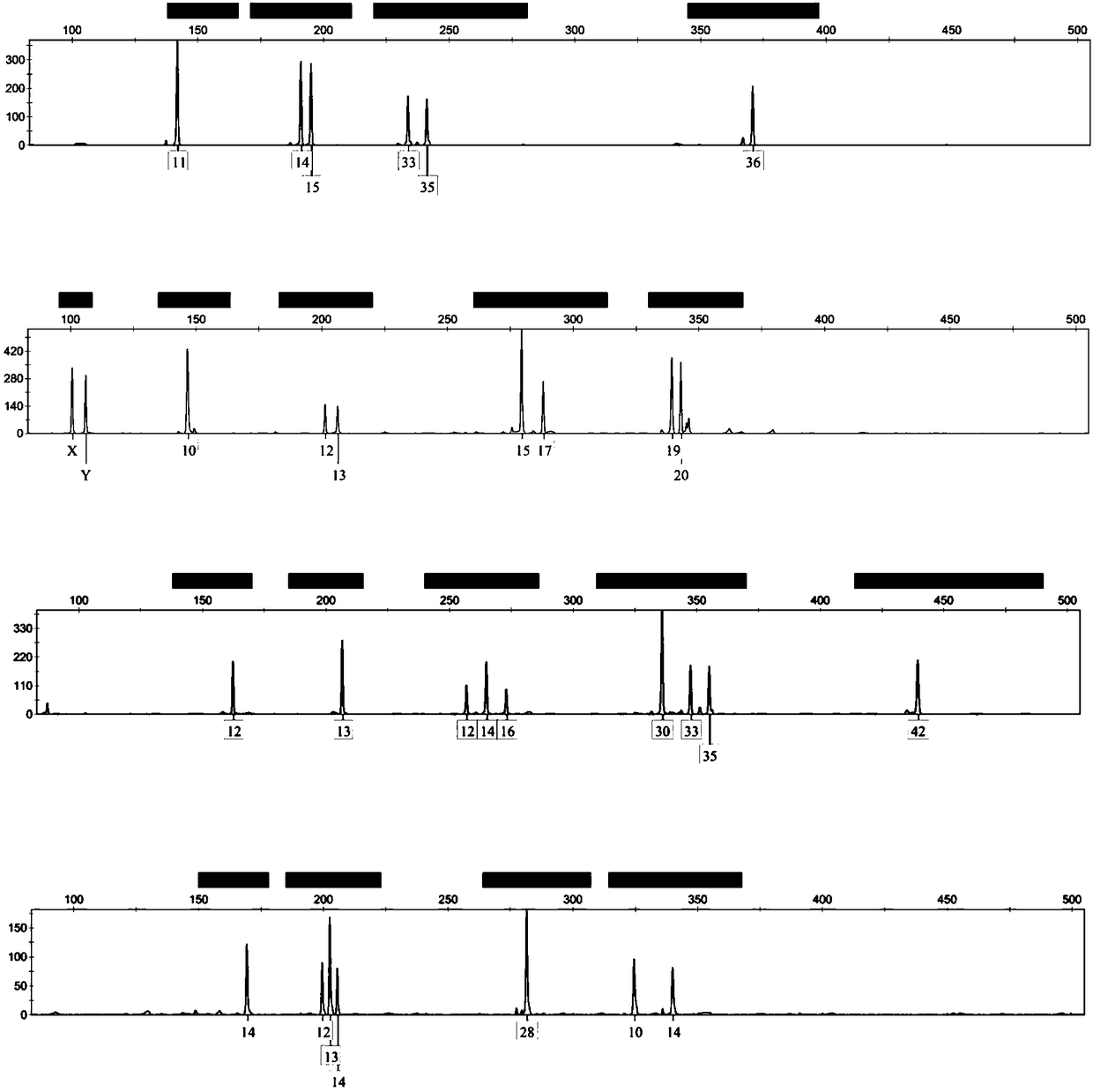 Composite amplification system based on Y-STR locus and specific primer combination thereof