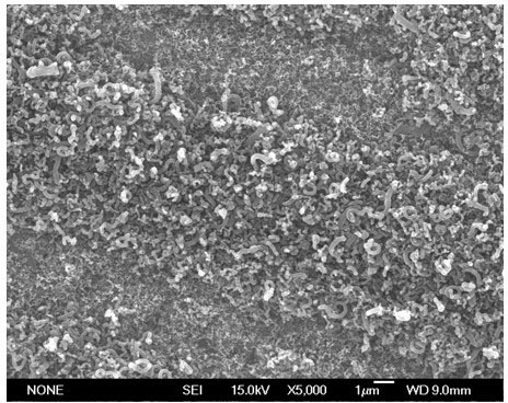 Method for preparing carbon counter electrode in dye sensitized solar cell