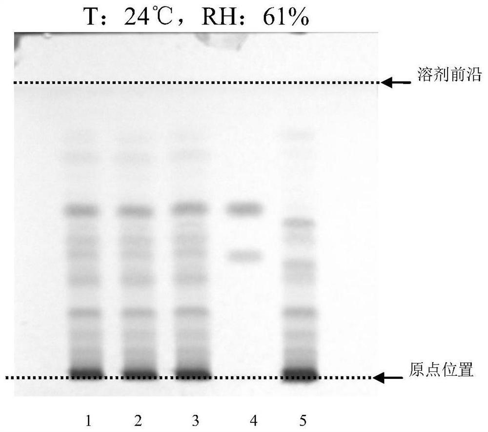 Method for identifying ginger in Jiangzhuru traditional Chinese medicine formula granules