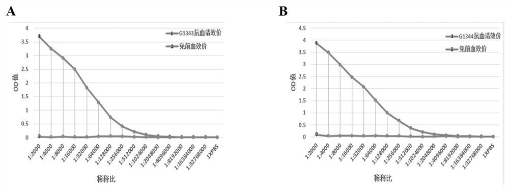 Chicken PTF1a gene recombinant protein and preparation method of polyclonal antibody