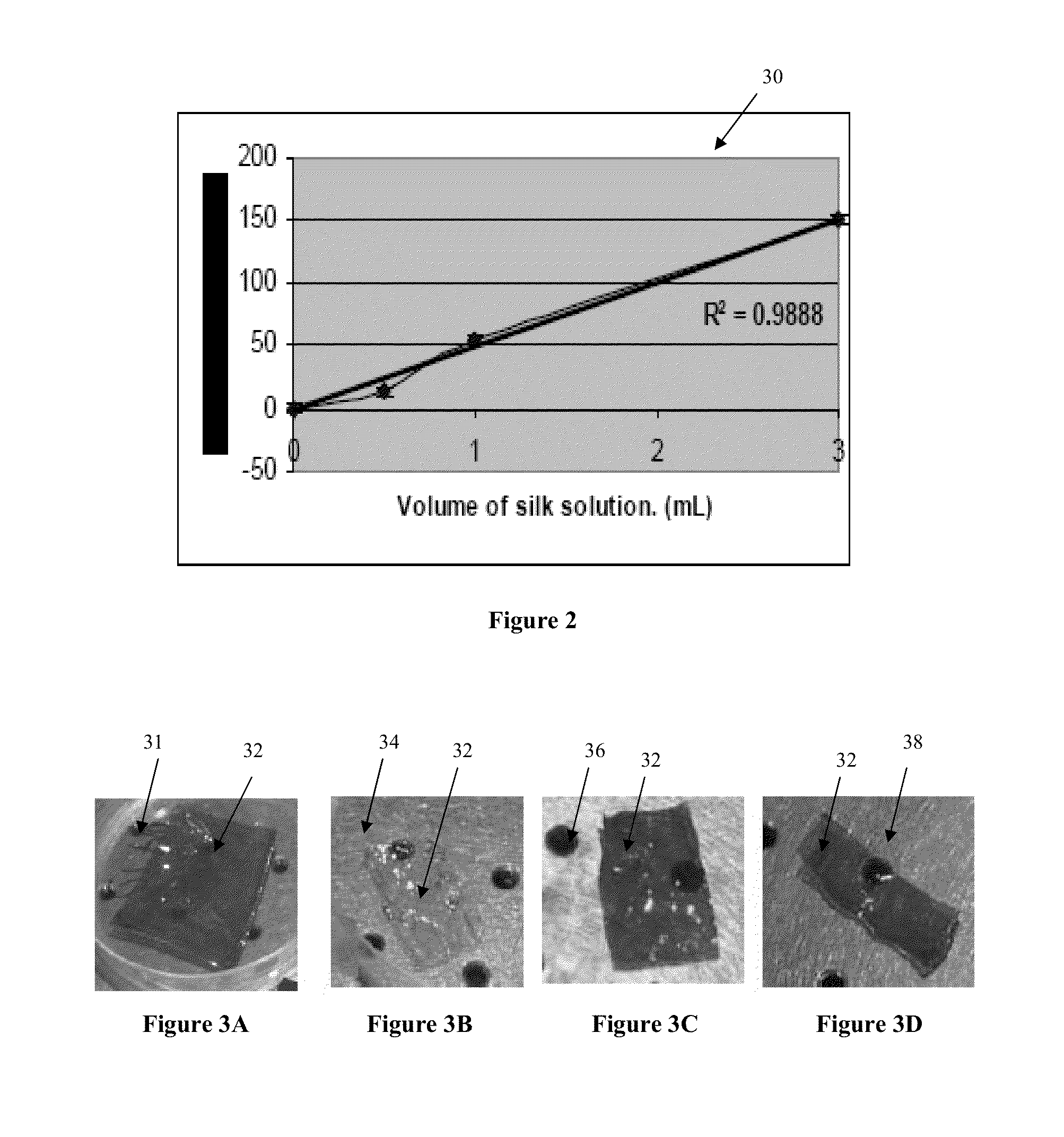 Biopolymer sensor and method of manufacturing the same