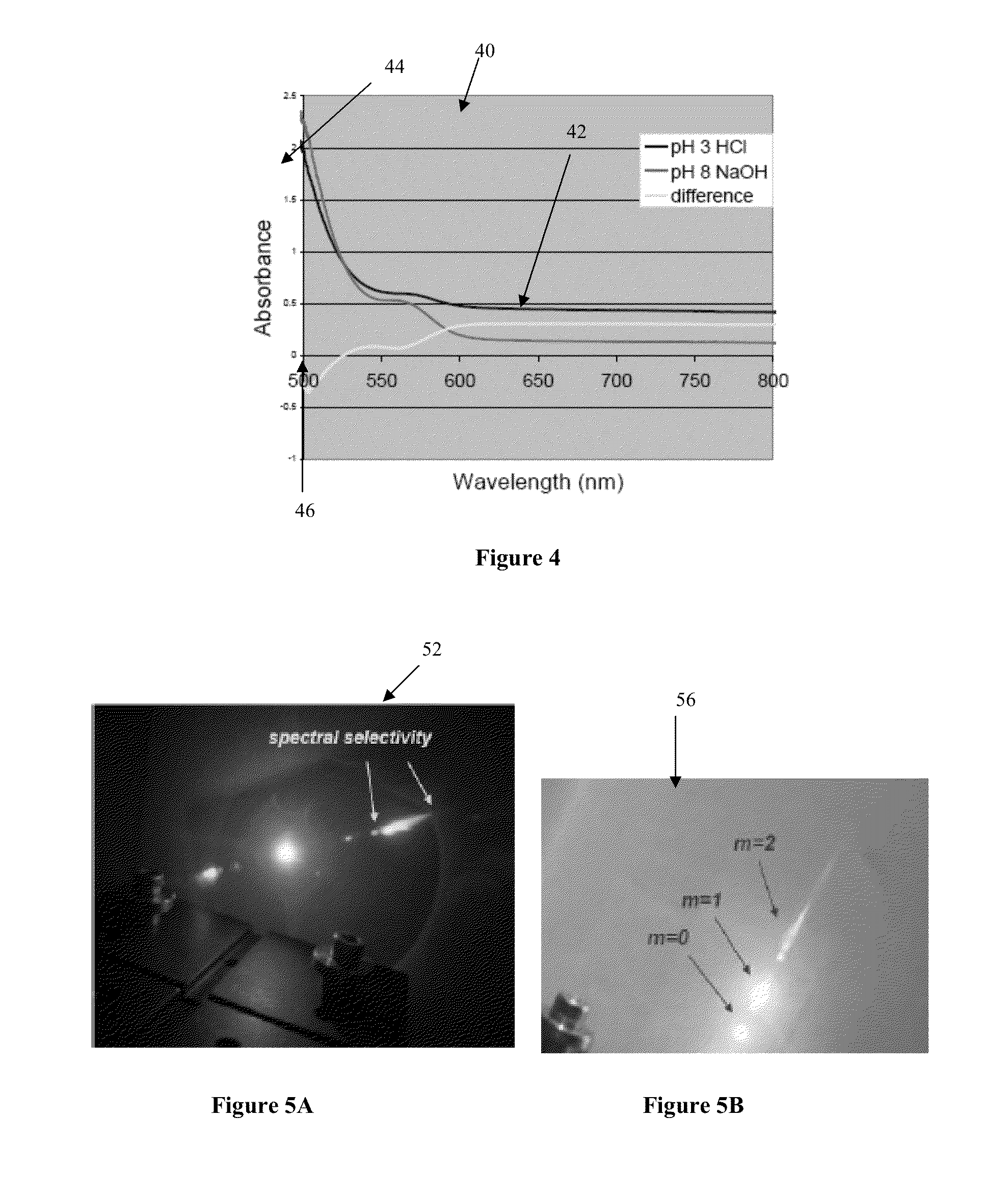 Biopolymer sensor and method of manufacturing the same