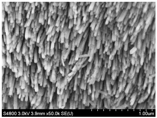 Method for preparing mordenite molecular sieve