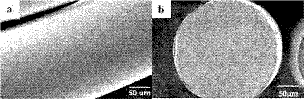 Method for preparing polyacrylonitrile-based carbon fiber precursors without skin-core structure