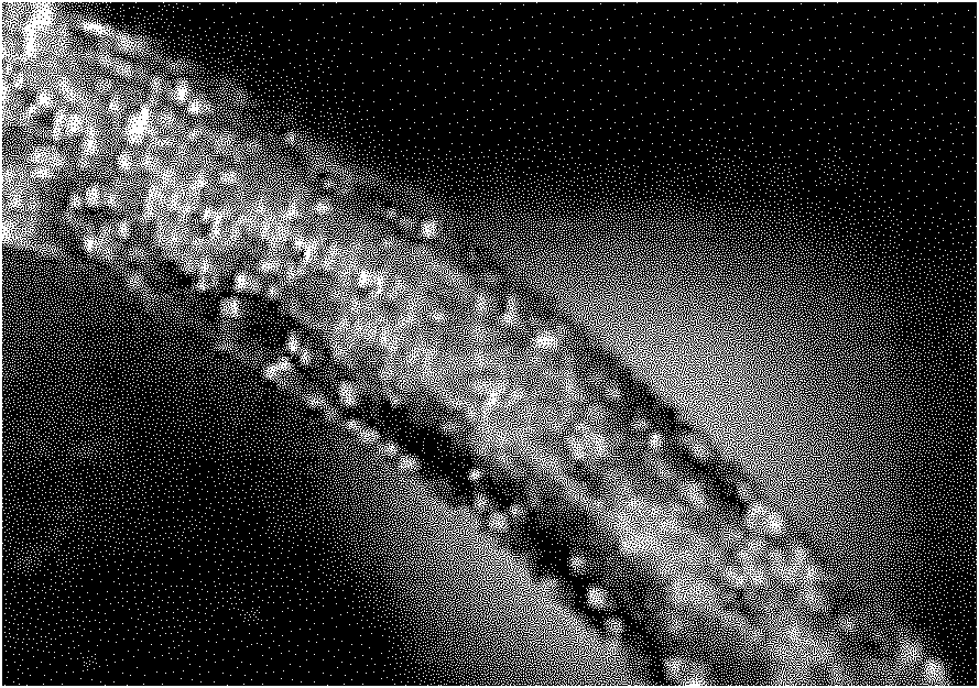 Method for preparing polyacrylonitrile-based carbon fiber precursors without skin-core structure