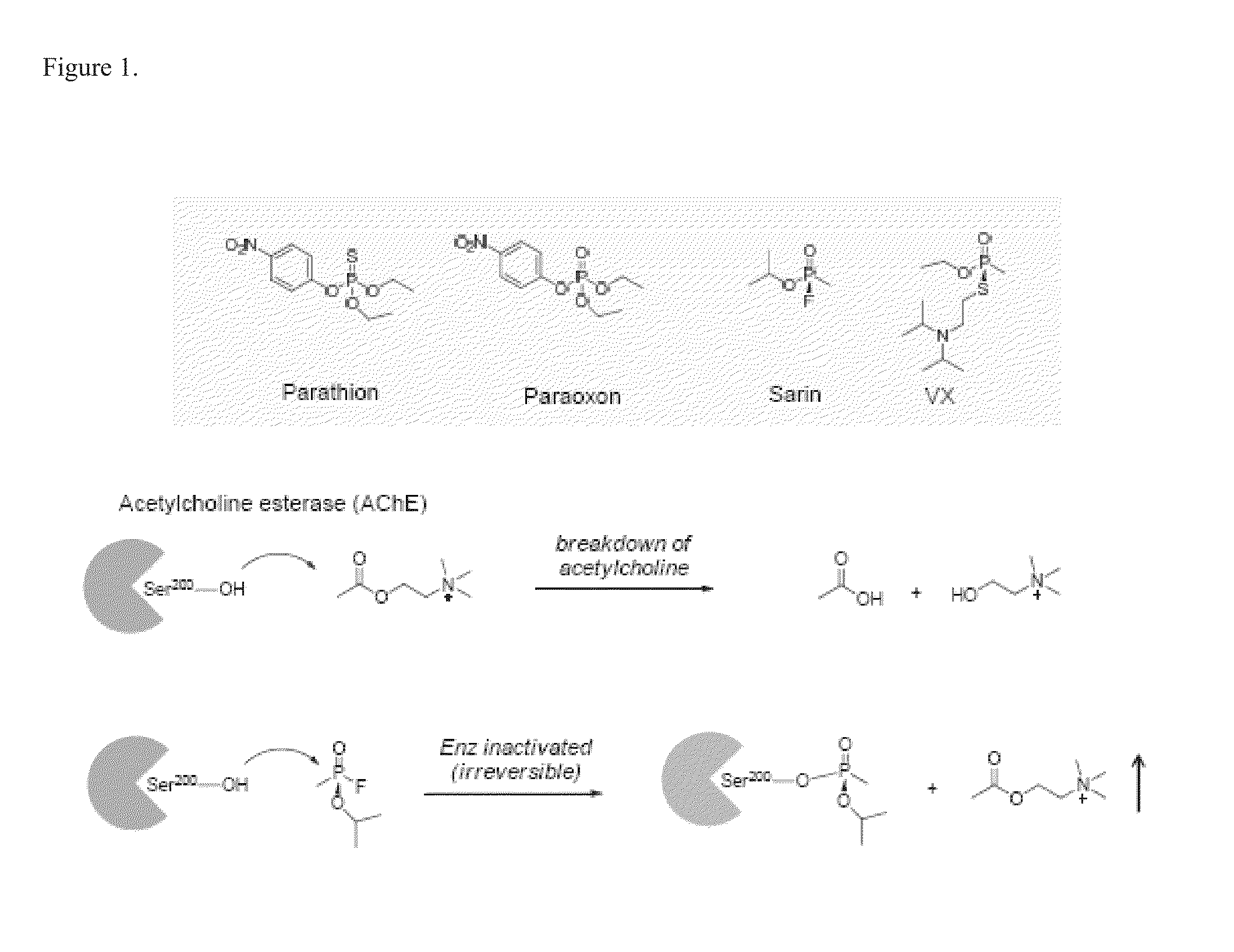 Multifunctional small molecules