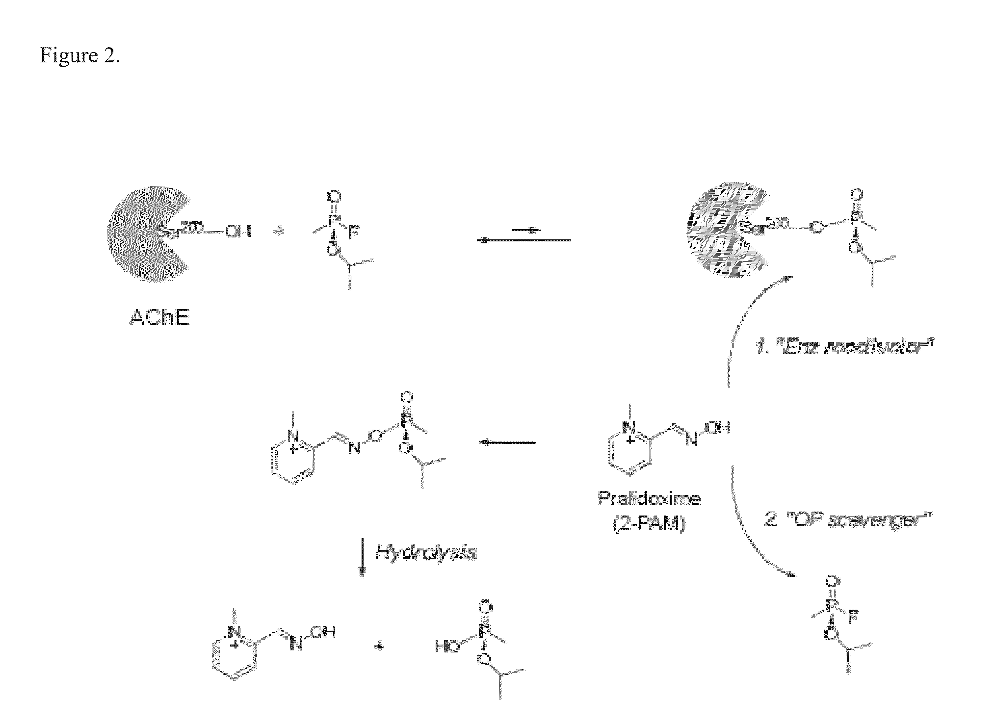 Multifunctional small molecules