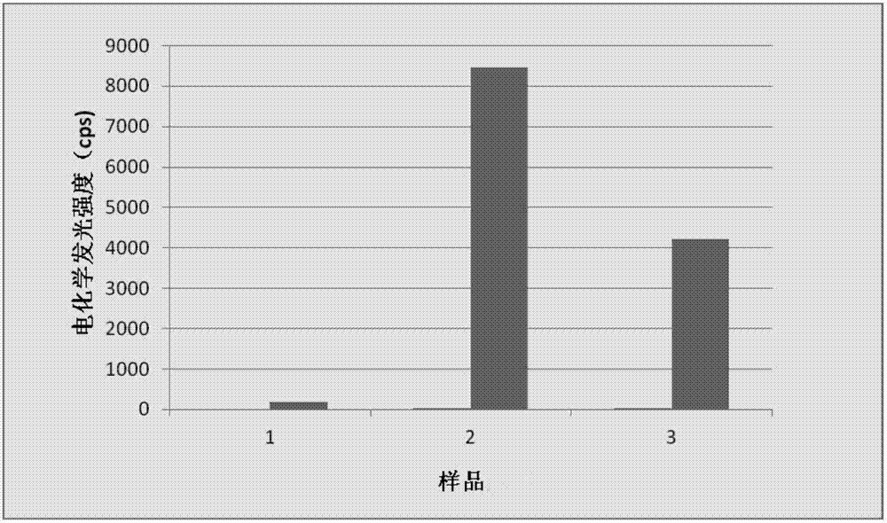 Gene detection probe and gene detection method