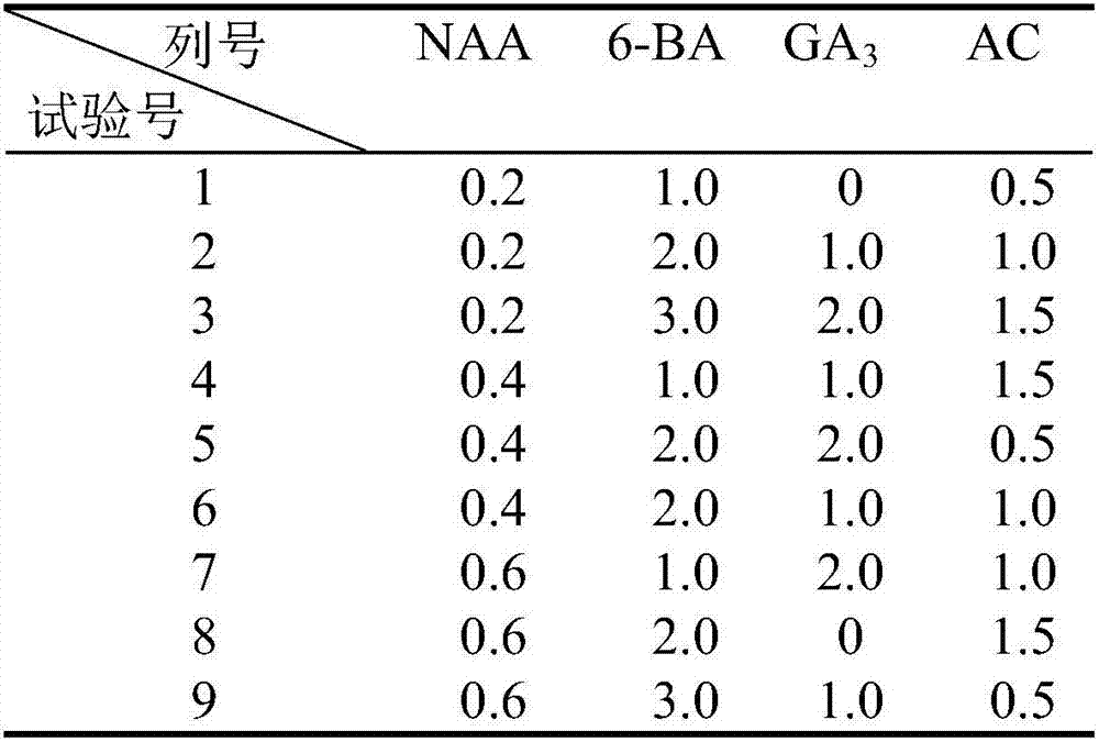 Cultivation method for rapid breeding of Davidia involucratab branches