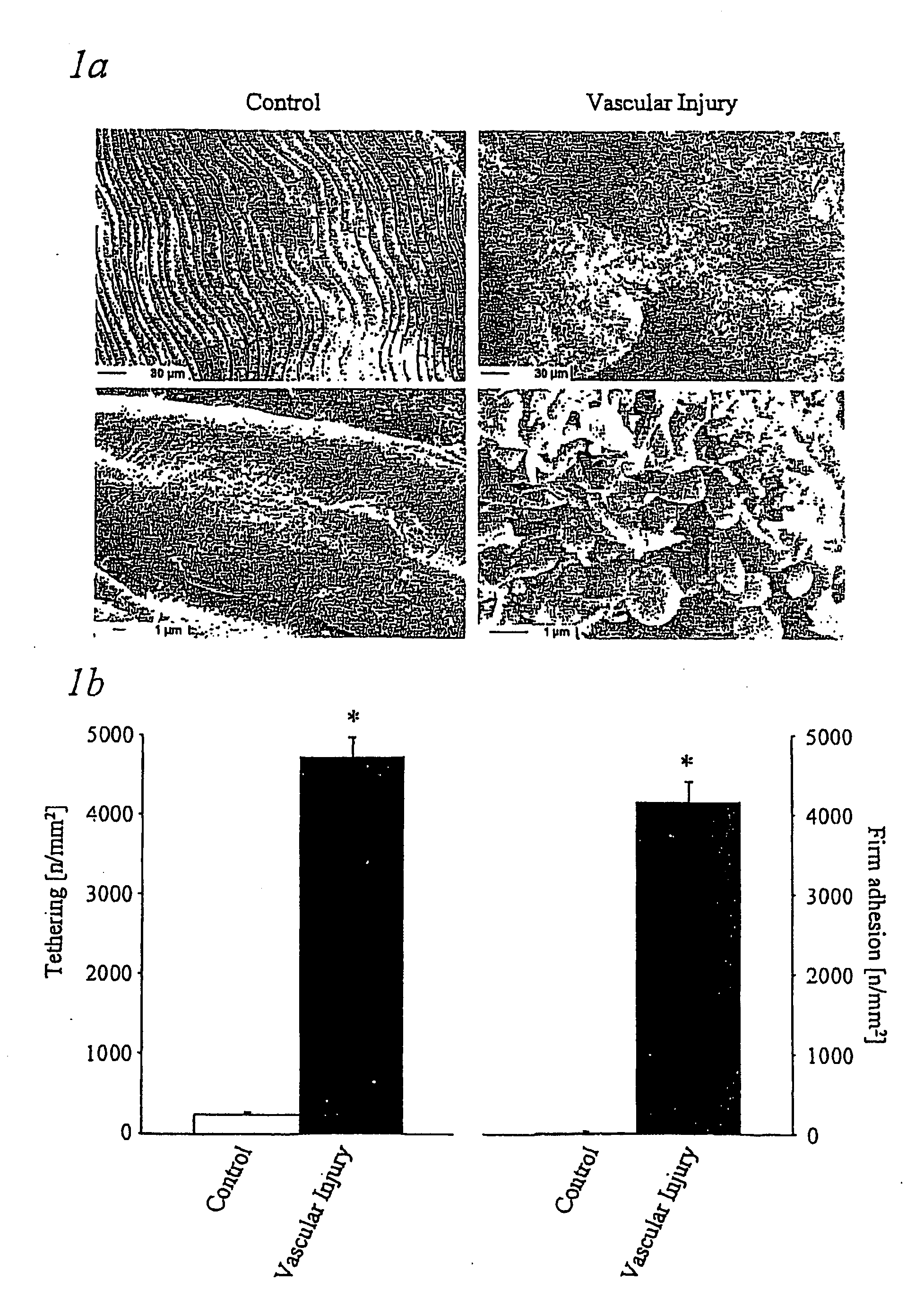 Immunoadhesin comprising a glycoprotein VI domain