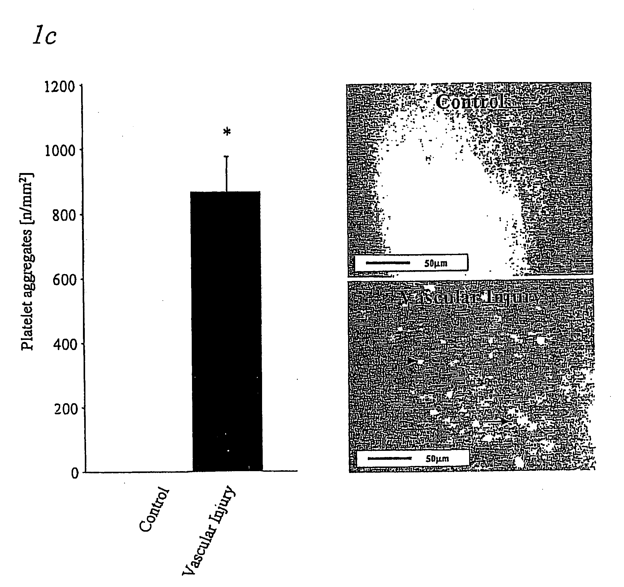 Immunoadhesin comprising a glycoprotein VI domain