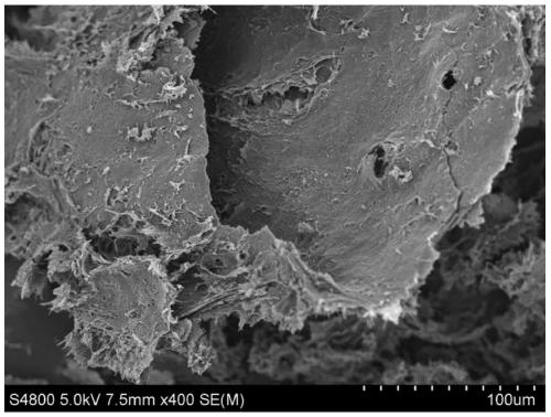 Preparation method of wrinkled graphene and electromagnetic shielding material