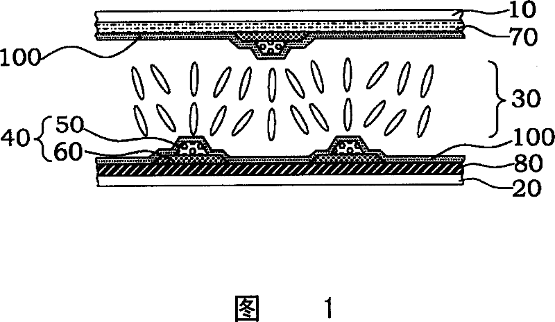 Liquid crystal display and mfg. method therefor