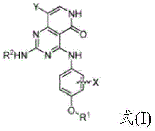 Substituted pyridopyrimidine compounds and their use as FLT3 inhibitors