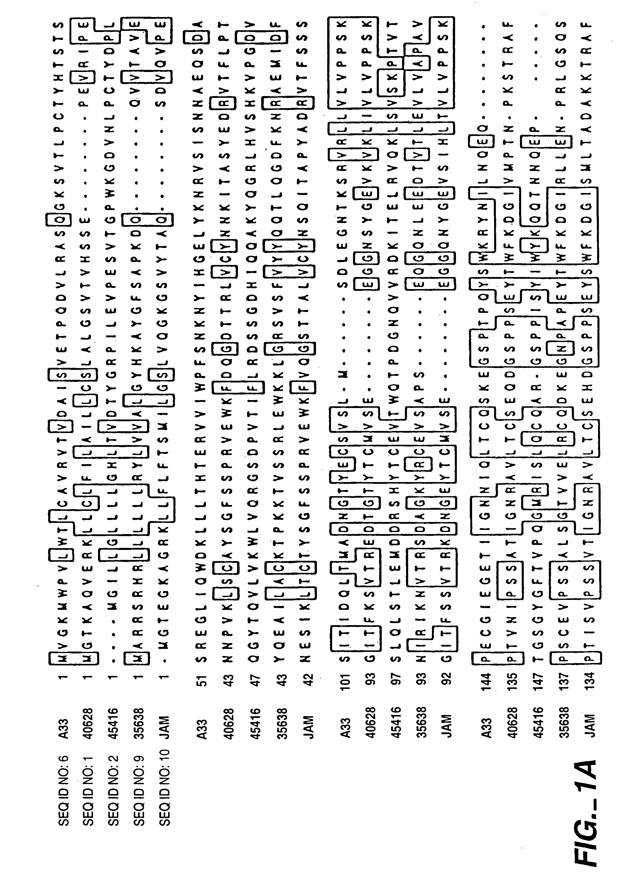 PRO362 polypeptides