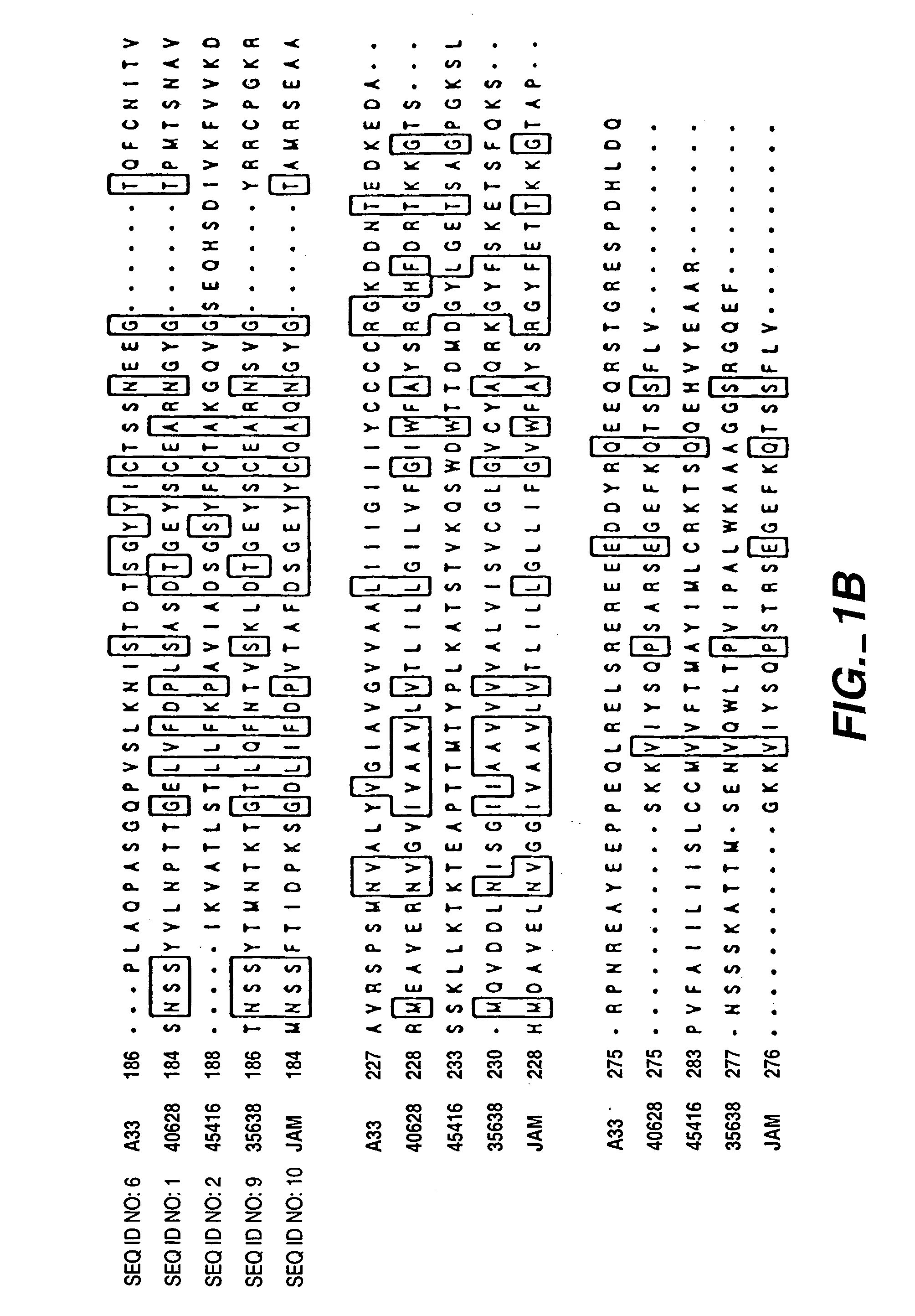 PRO362 polypeptides