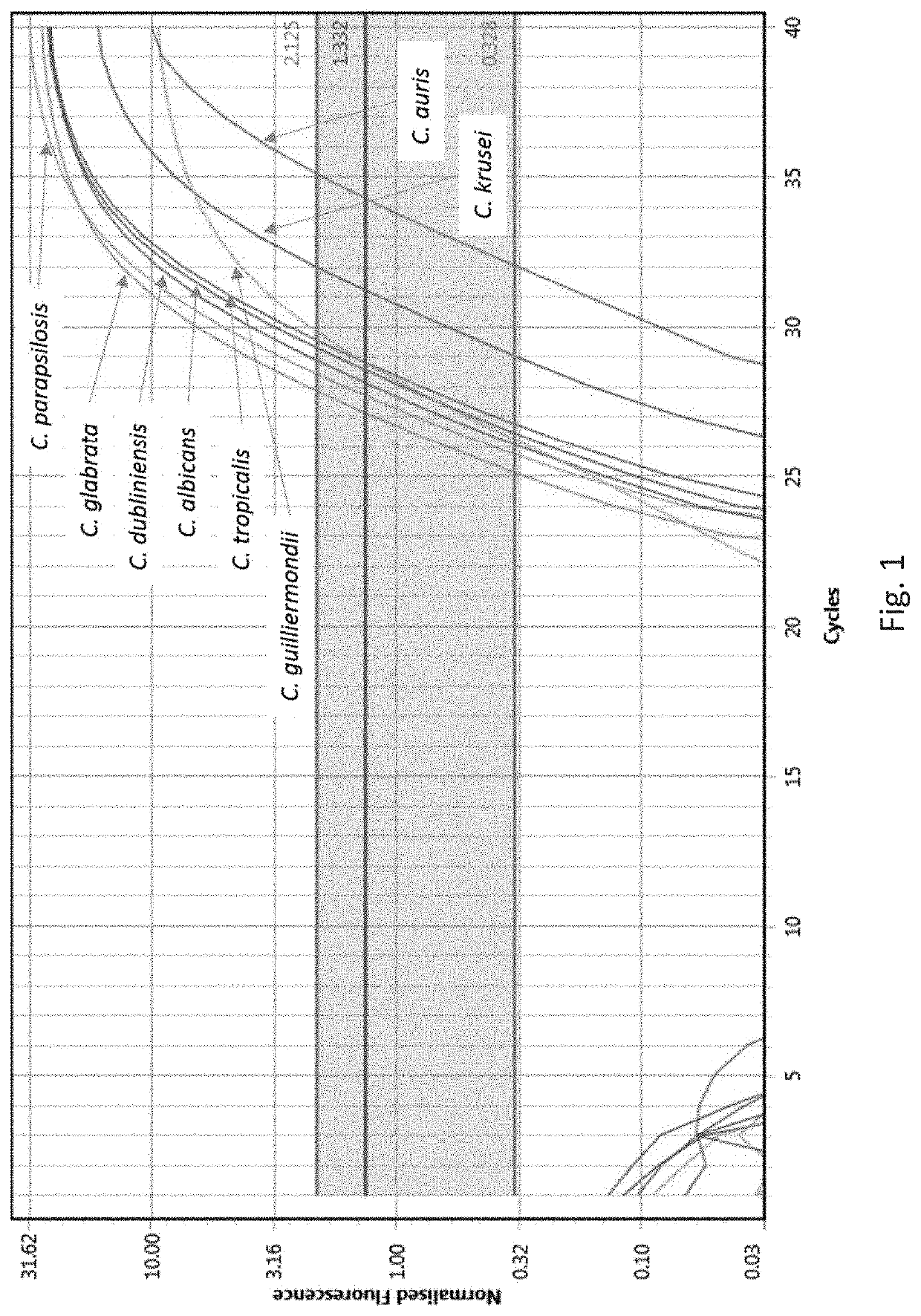 Detection and delineation of microorganisms