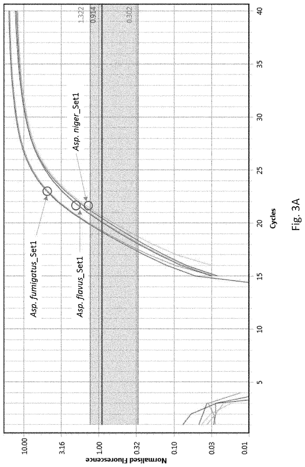 Detection and delineation of microorganisms