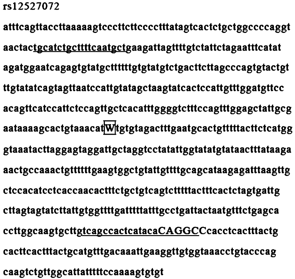 Method and kit for detecting ubiquitin protease gene PSMB1 promoter polymorphism