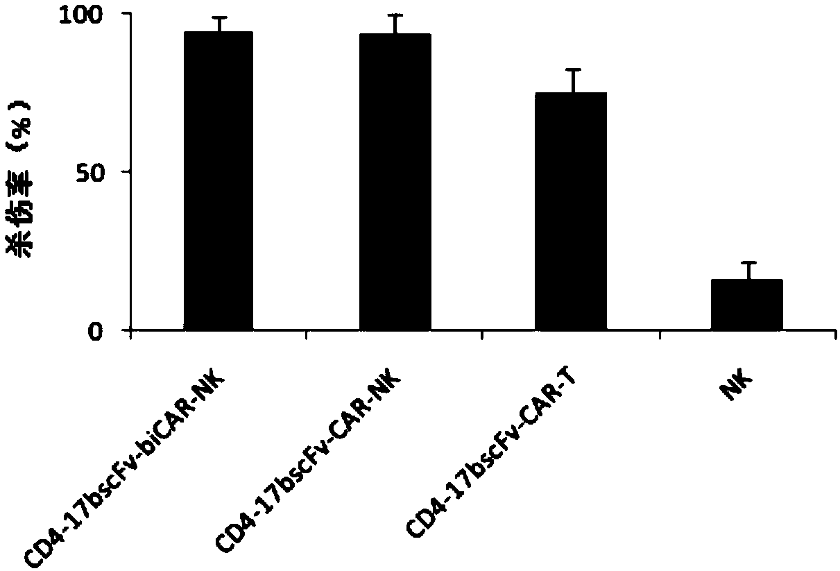 Molecular switch, anti-HIV-1 chimeric antigen receptor having same, preparation method, NK cell, and application