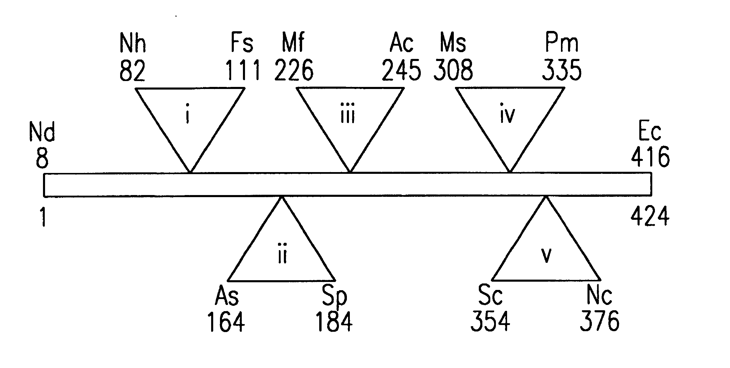 Target recognizing binding agents