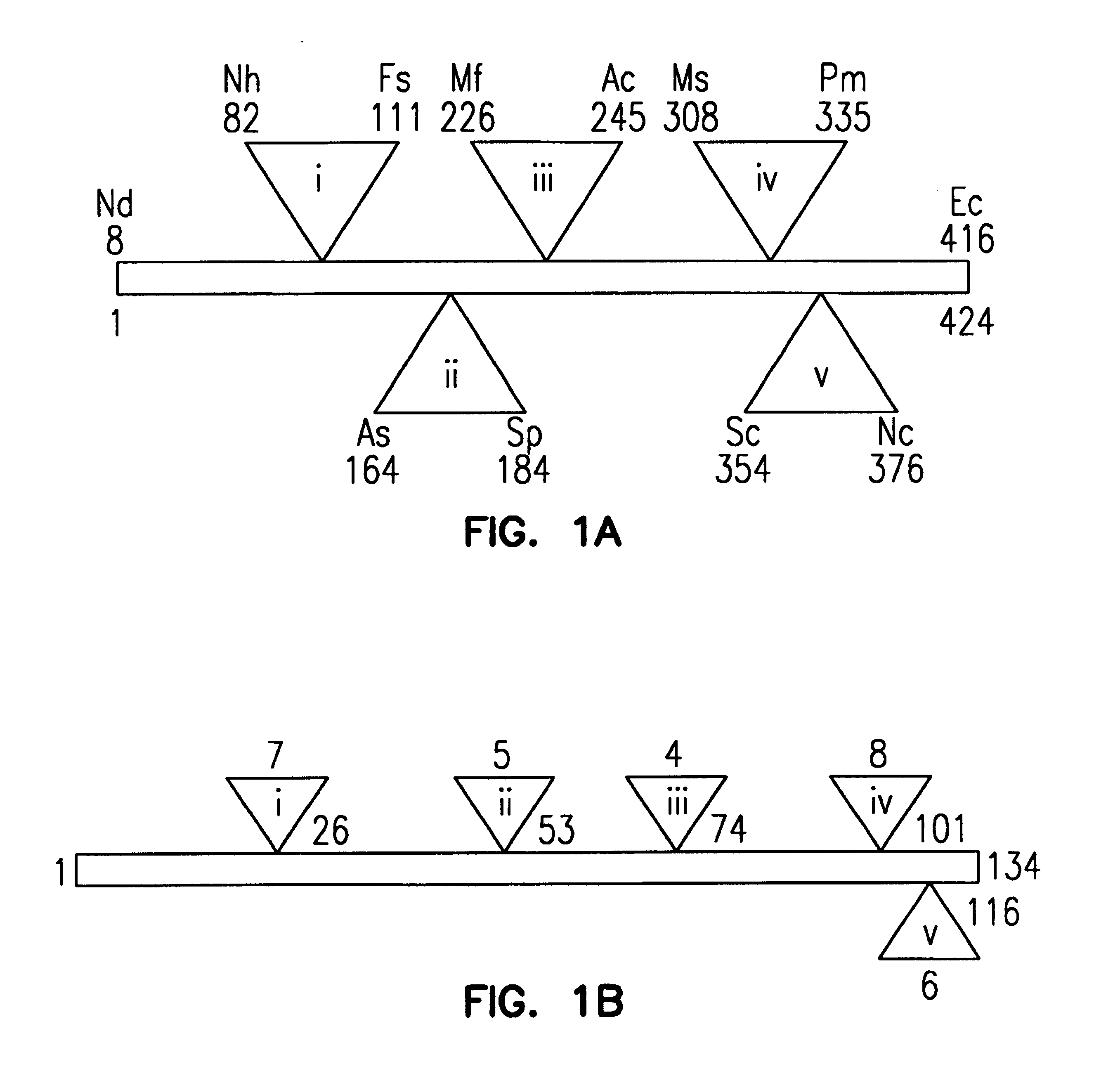 Target recognizing binding agents