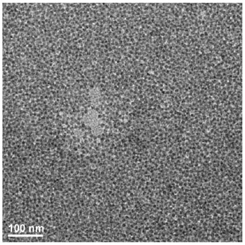 A preparation method of nano-hybrid particle and nano-hybrid particle and nano-medicine obtained therefrom