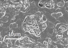 Preparation and application of zinc negative electrode material of novel aqueous zinc ion battery