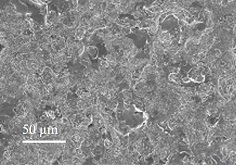 Preparation and application of zinc negative electrode material of novel aqueous zinc ion battery