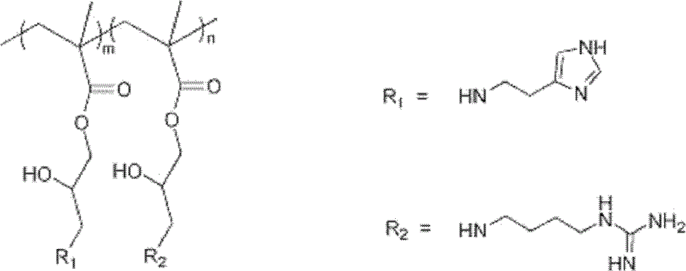 Histamine-modified agmatine-based linear-polymer transgenic carrier and preparation method and applications thereof