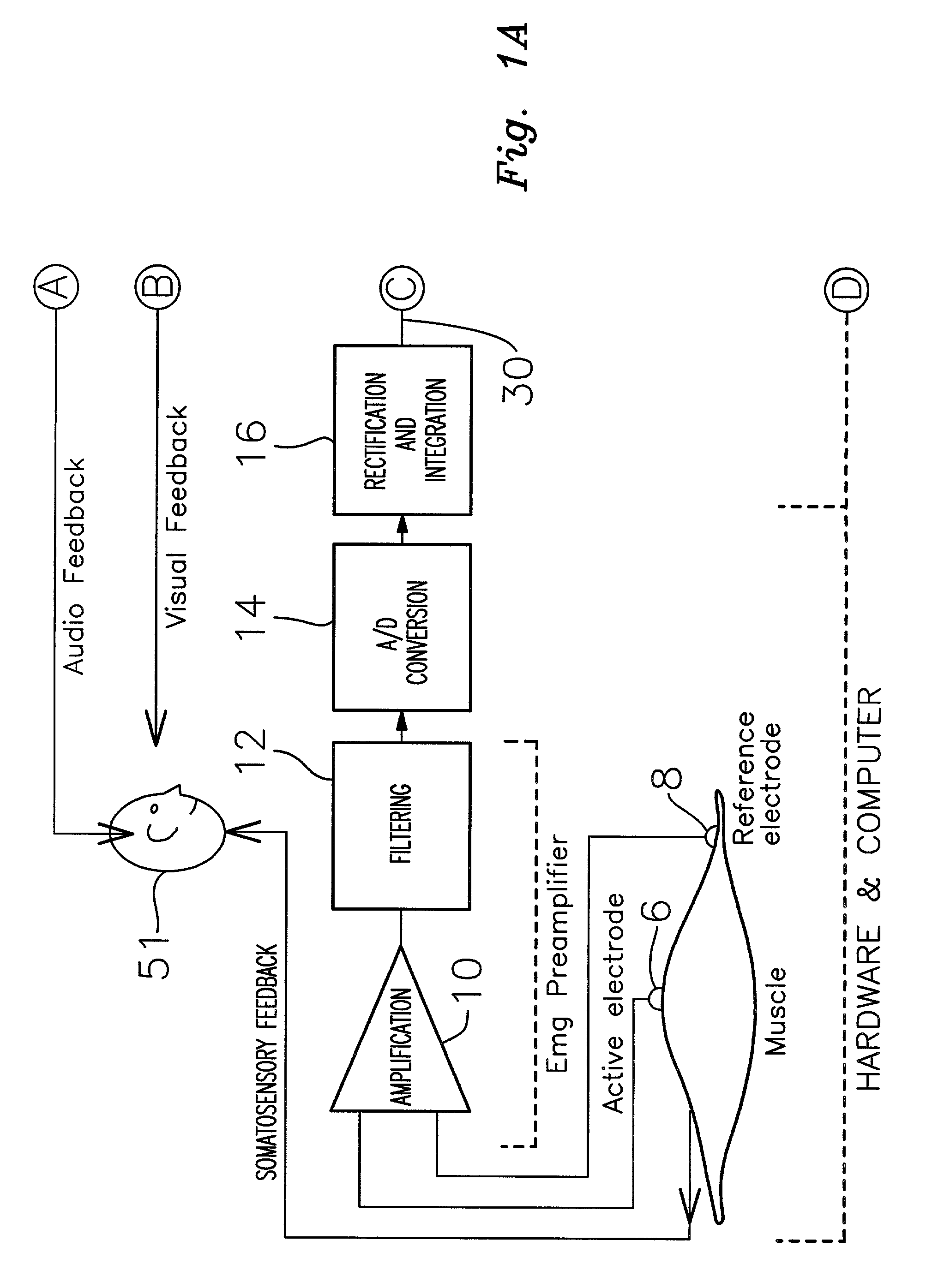 Apparatus and methods for detecting and processing EMG signals