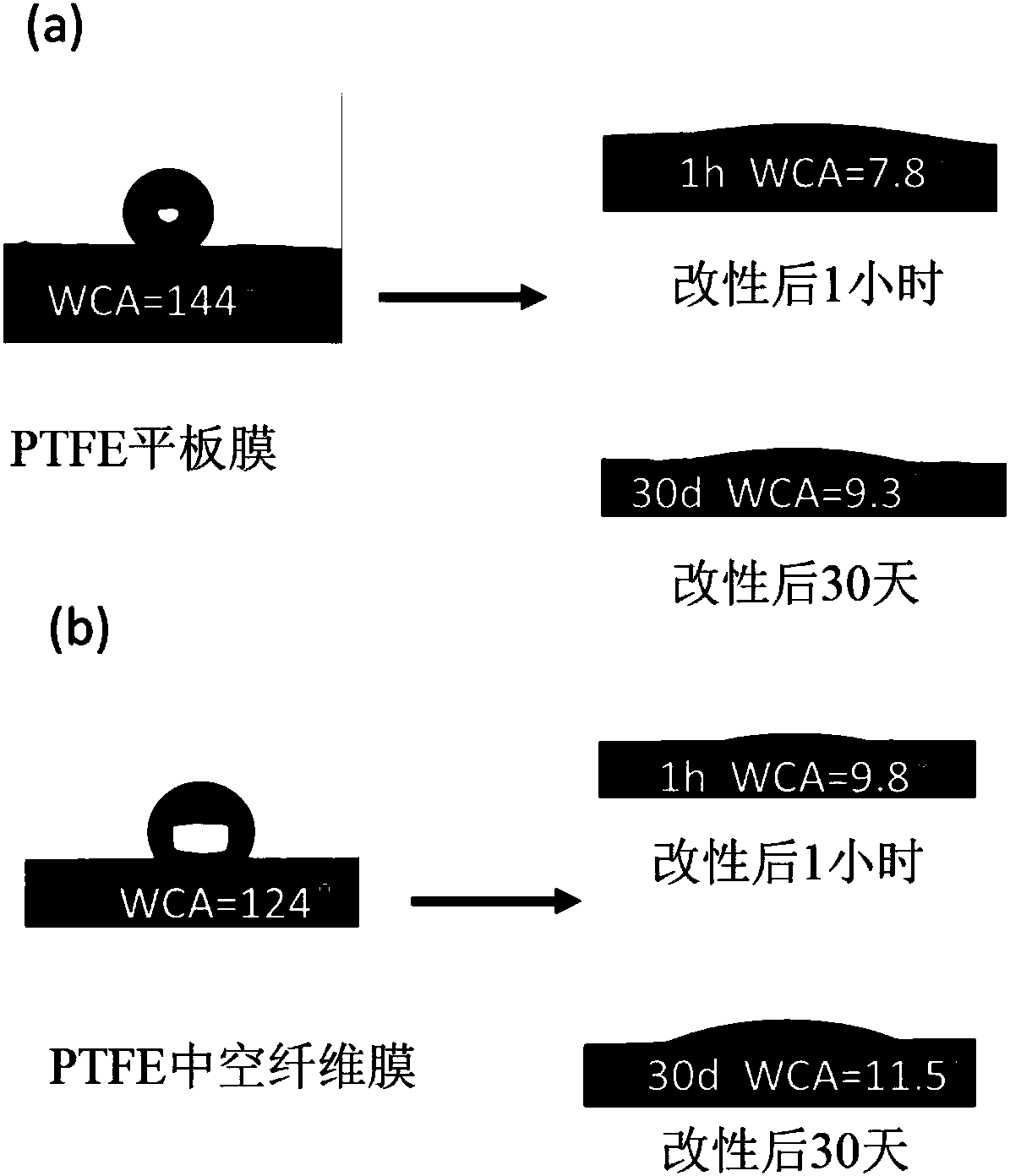 Hydrophilic modification method of polytetrafluoroethylene porous membrane