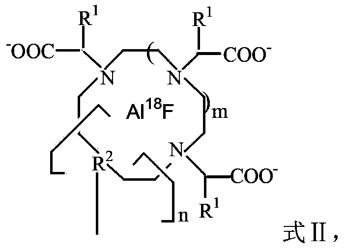 18F-fluorine labeling pentapeptide complex and synthetic method thereof