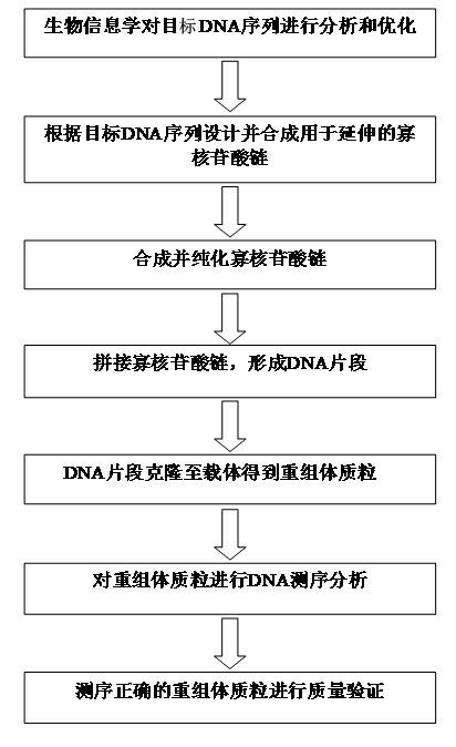 Industrialized gene synthesis method