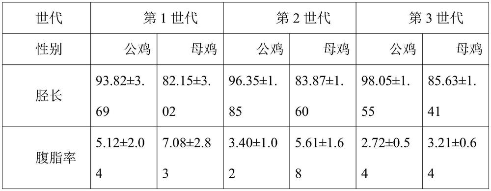 A kind of high-quality chicken breeding method with low abdominal fat rate