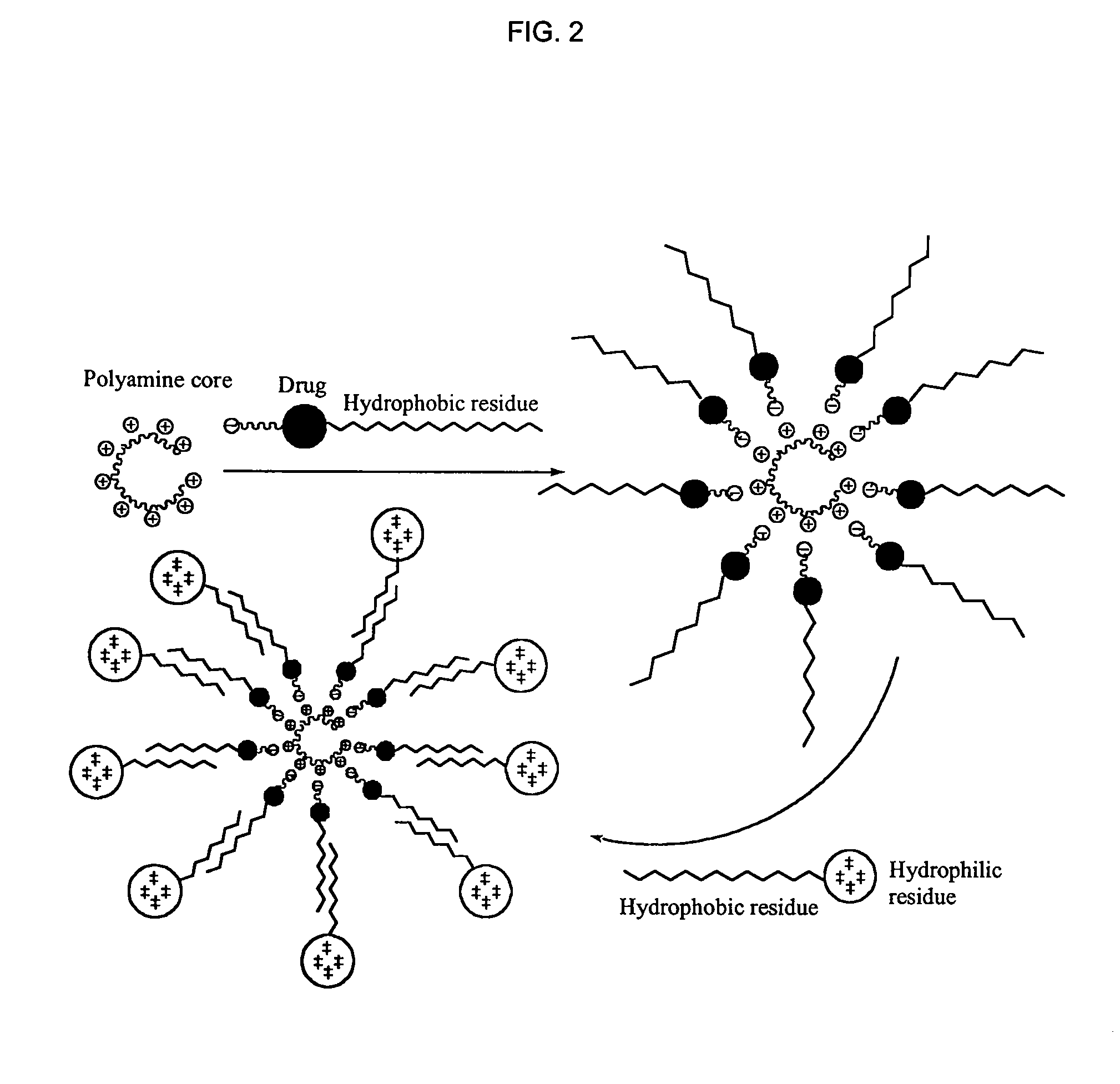 1,3,5-triazines for treatment of viral diseases