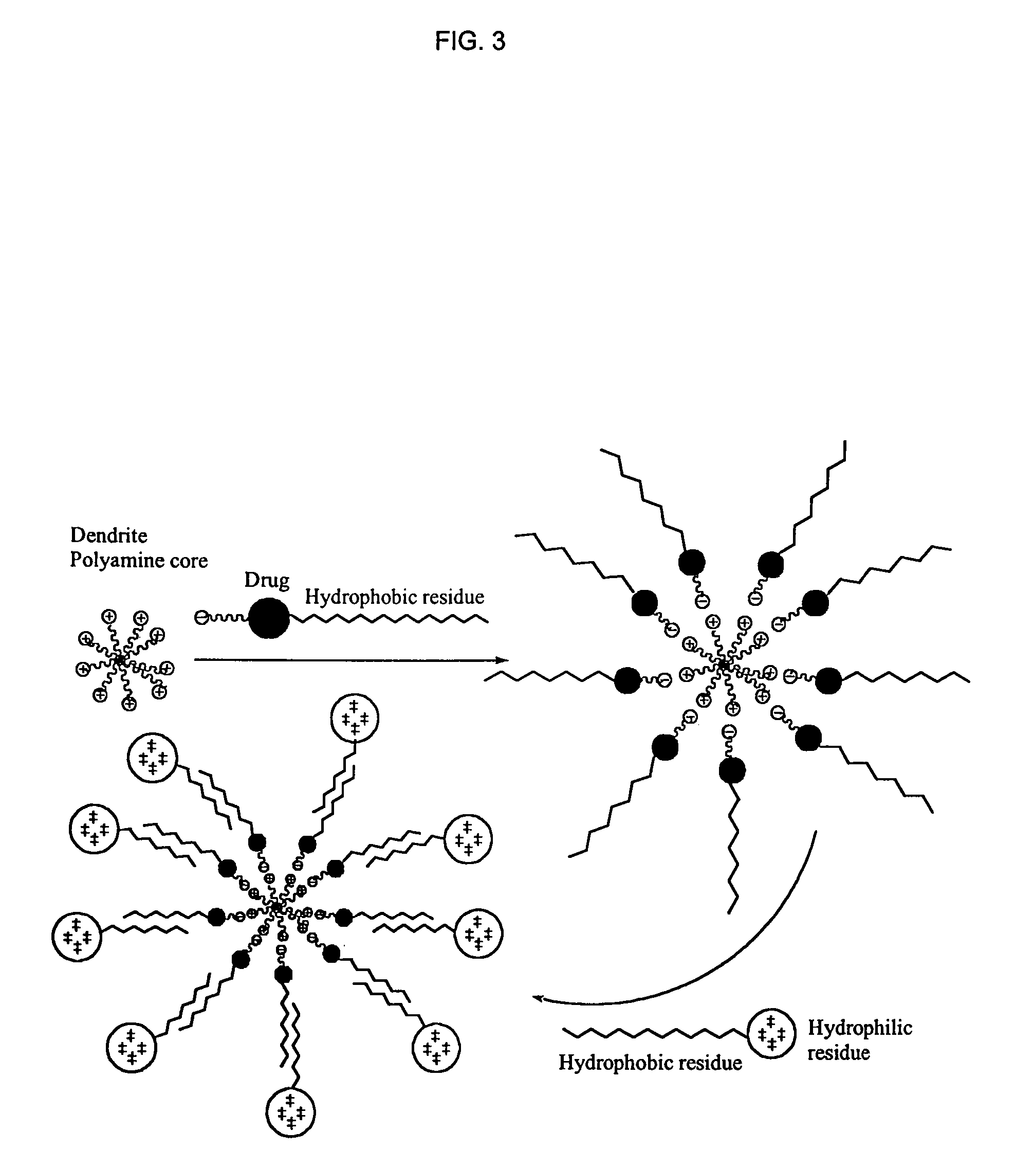 1,3,5-triazines for treatment of viral diseases