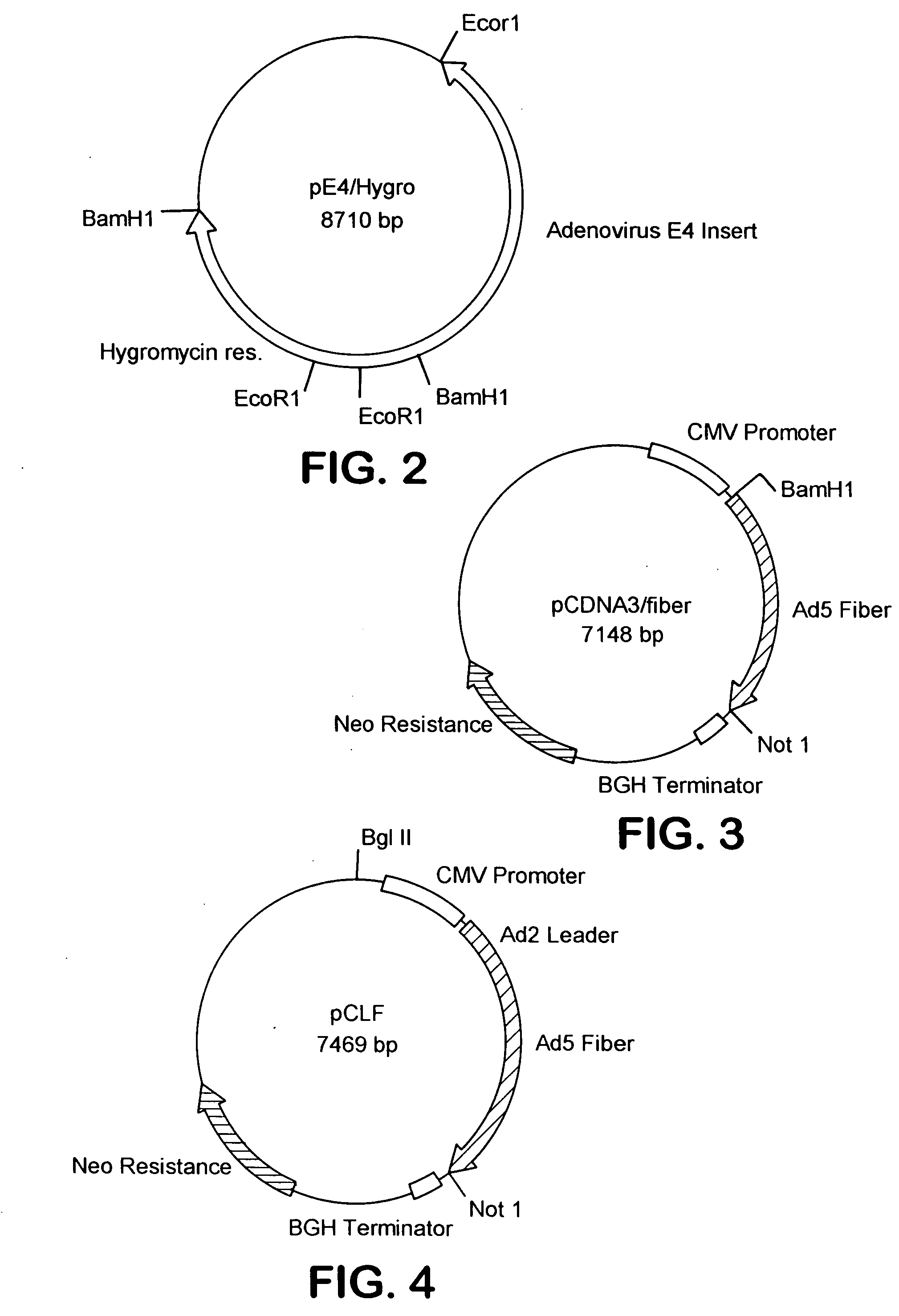 Adenovirus vectors, packaging cell lines, compositions, and methods for preparation and use