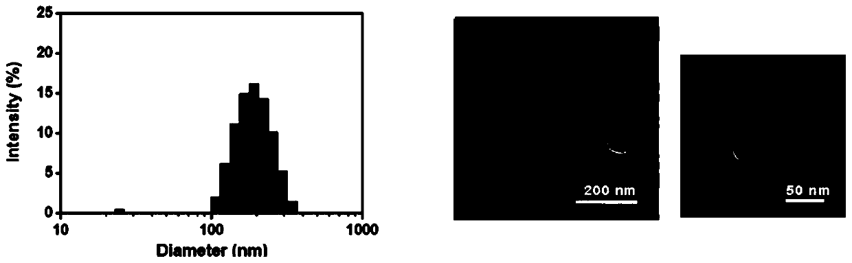 Polymerized chloroquine fluorenylmethyl nanogel delivery system and preparation method thereof