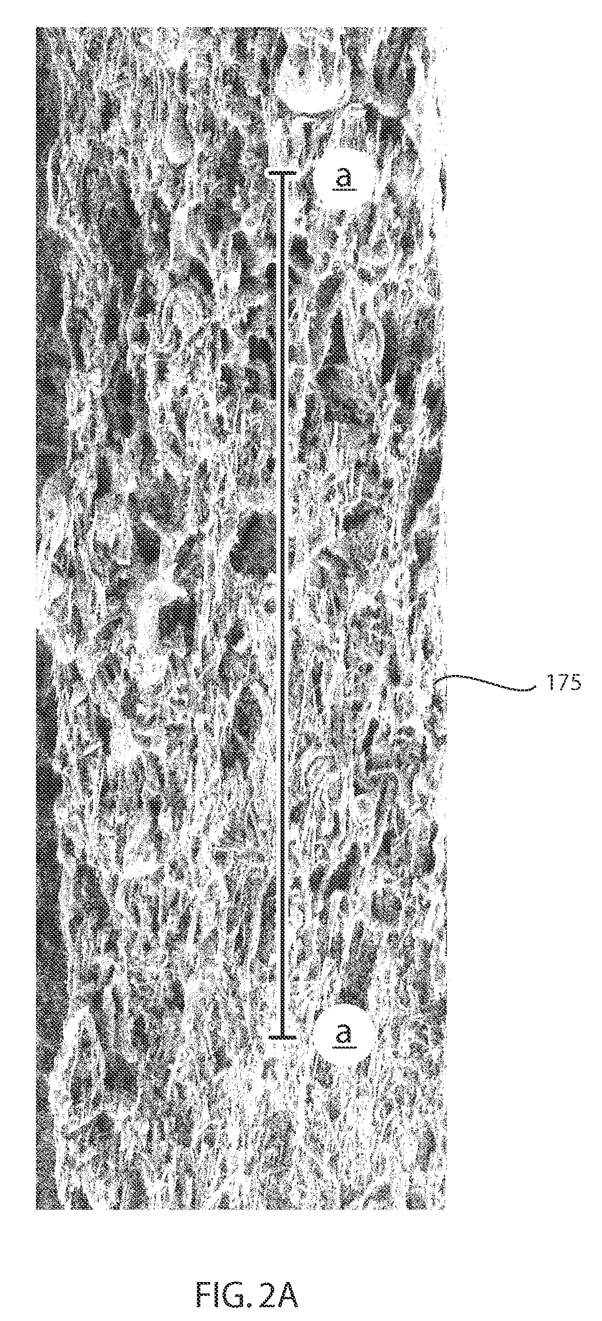 Fibrous cordierite materials